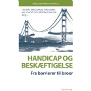 Handicap og beskæftigelse