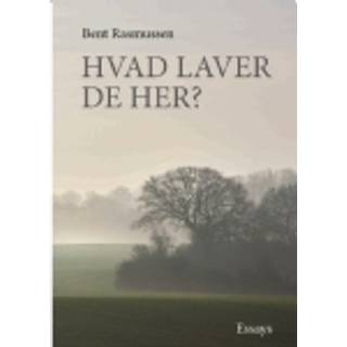 Hvad laver De her?
