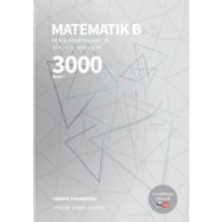 Matematik 3000 B Niveau