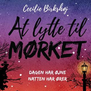 Det ingen ser: At lytte til mørket (Lydbog)