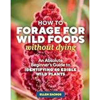 How to Forage for Wild Foods without Dying