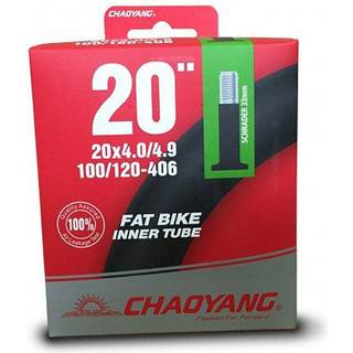 Chaoyang Slange 20x4.0-4.9 AV 48mm