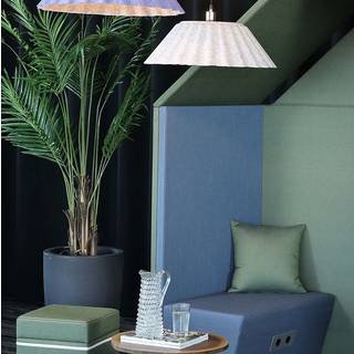 Areca Palme