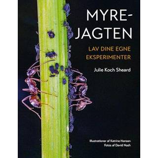 Myrejagten