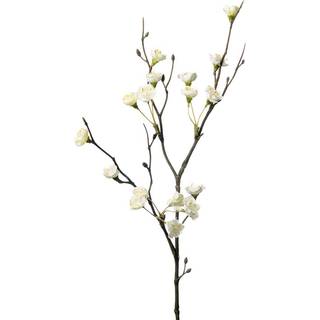 Blommegren i hvid