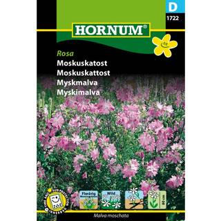 Moskuskatost, Rosa - Flerårig blomsterglæde - Blomsterfrø