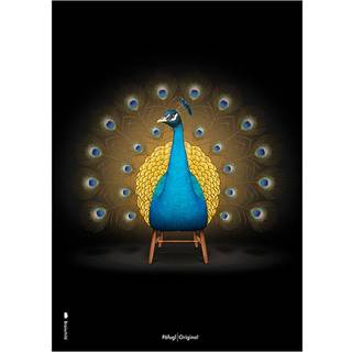 Plakat med Påfugl - Sort Klassisk (50x70)