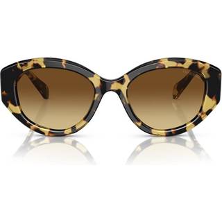 Swarovski SK6005 100913 53 Solbriller Kvinder Tortoiseshell - Tortoise - 53mm