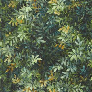 Congo Forest - W0140/03