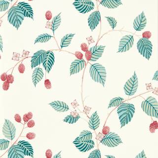 Rubus Raspberry - DABW217228