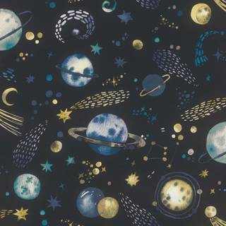Albany Wallpaper Celestial Sky 300956