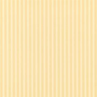 New Tiger Stripe - DCAVTP104
