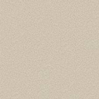 Albany Wallpaper Valentino Texture 1929