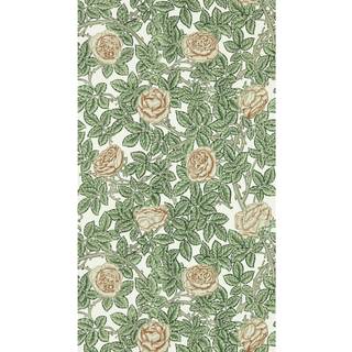 Rambling RoseLeafy Arbour/Pearwood - MEWW217208