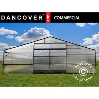 Drivhustunnel til gartnerier, 10x16x3,95m, Transparent