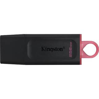 Kingston DataTraveler 256GB USB 3.2 (På lager i butik)