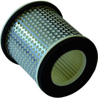 Champion Luftfilter