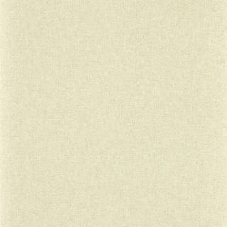 Sessile Plain Birch - DABW217246