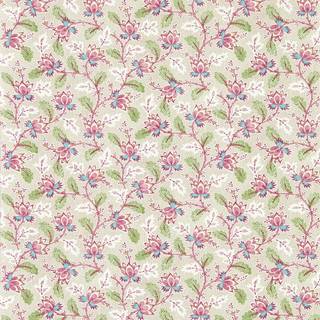 Dallimore Wild Rose - DABW217234