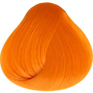 Apricot Directions