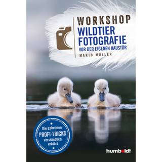 Buch Workshop wildlife photography on your own doorstep