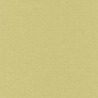 LINEN UNI VERT ANIS MOYEN - LINN68527163