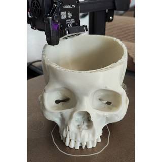 3DE MAX - PLA - Bone - 1.75mm - 1kg