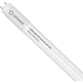 Ledvance Ledtube t8 un v 600 8w 865 ledv