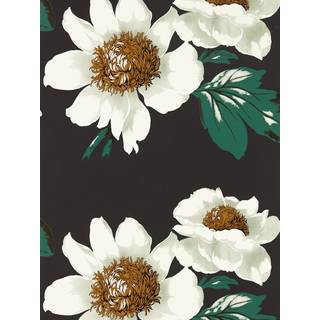 Paeonia Black Earth/Fig Leaf/ Gold - HQN2112841