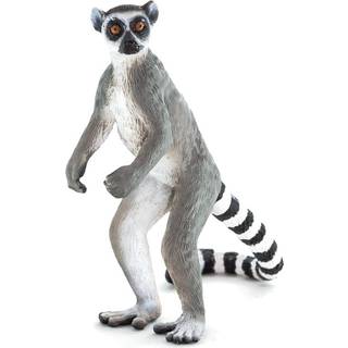Mojo Ringtail Lemur