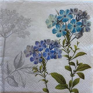 Windsor mønstrede servietter 33x33 cm 20-pak (På lager i butik)