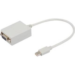Prokord Videoadapter Mini Displayport Vga (d-sub) Hvid