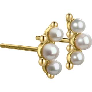 PAGE EARSTUD | GOLDEN