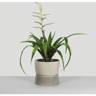 Two Tone Planter, Small - Dune grey