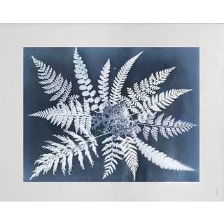Fine Little Day "Fern star" plakat 40x50 cm