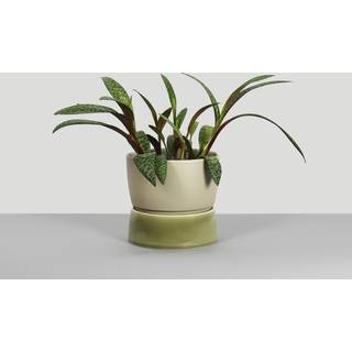 Two Tone Planter, Small - Artichoke green