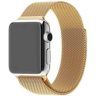 SKALO Milanese Loop Apple Watch 38/40/41mm - Guld