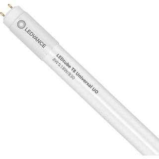 Ledvance Ledtube t8 un v 600 8w 830 ledv