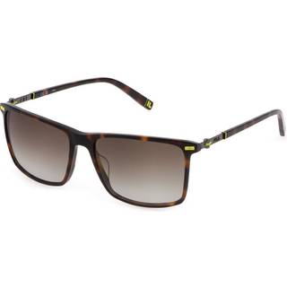 Fila SFI447 0C10 57 Solbriller Mænd Tortoiseshell - Glossy Tortoise - 57mm