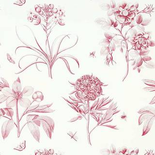 Etchings & Roses Amanpuri Red - DOSW217054