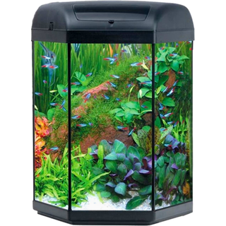 Aquael Hexa 60 D/N Akvariesæt – Kompakt Akvarium Med LED