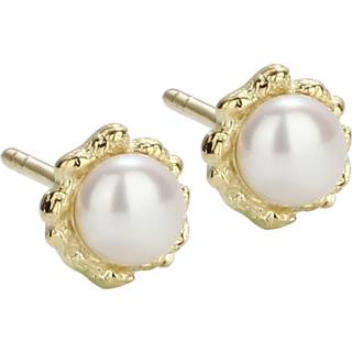 PEARL STUD | GOLDEN