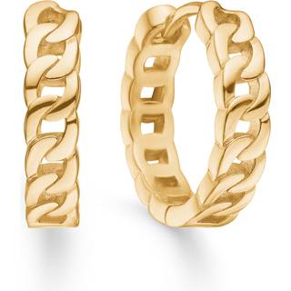 Avilé Jewelry Panzer Creole Øreringe 18 kt. Forgyldt Sølv DI007-GP - Dame - 925 Sterling Silver