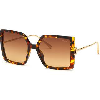 Chopard Kvinde SCH334M 745 Solbriller Acetat Havana Brun Firkantet Antiblænding Skygge