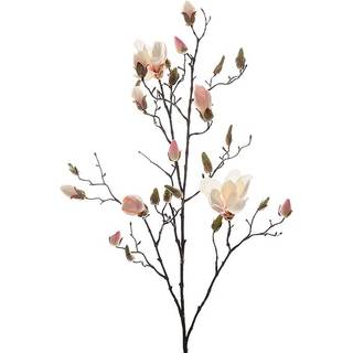 Magnolia - afskåret blomst i hvid/pink