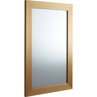 ENVY spejl 30x50 cm - Guld