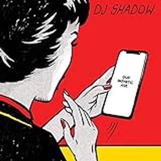 DJ Shadow - Our Pathetic Age (2 LP)
