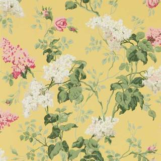 Sommerville Carmen/Daffodil - DOSW217051