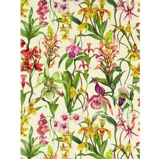 Kalina Parchment/Forest/Azalea - HC4W113009