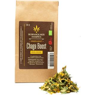 Økologisk hampete med Chaga Boost